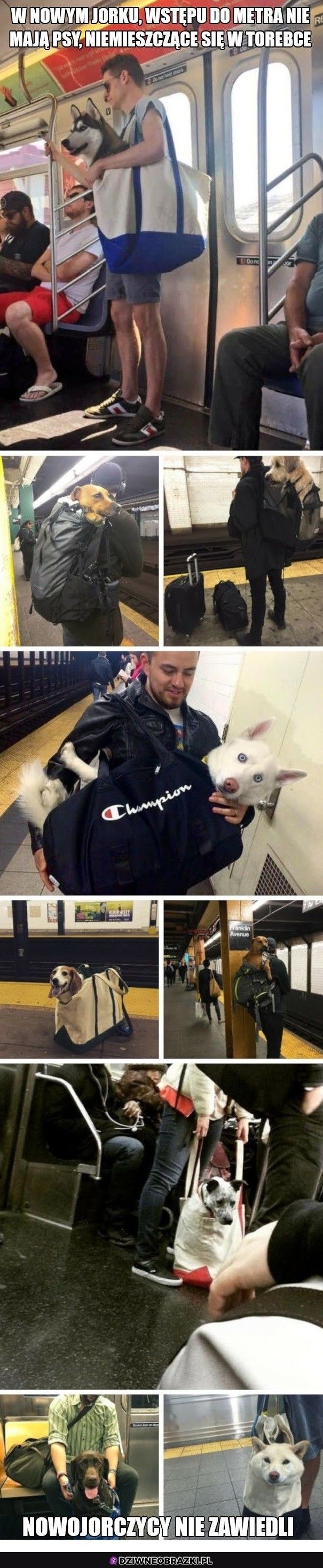 Ogarnięte