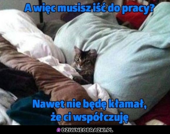 Wcale mi ciebie nie szkoda
