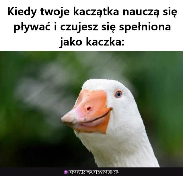Najlepiej