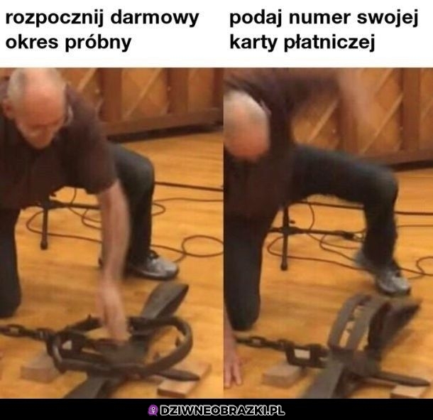 Pułapki