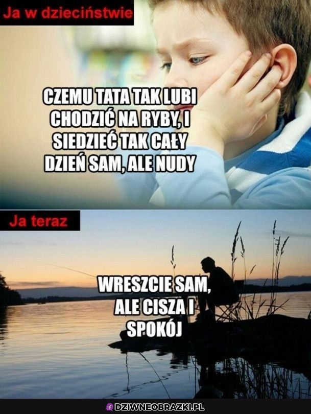 W pełni to rozumiem