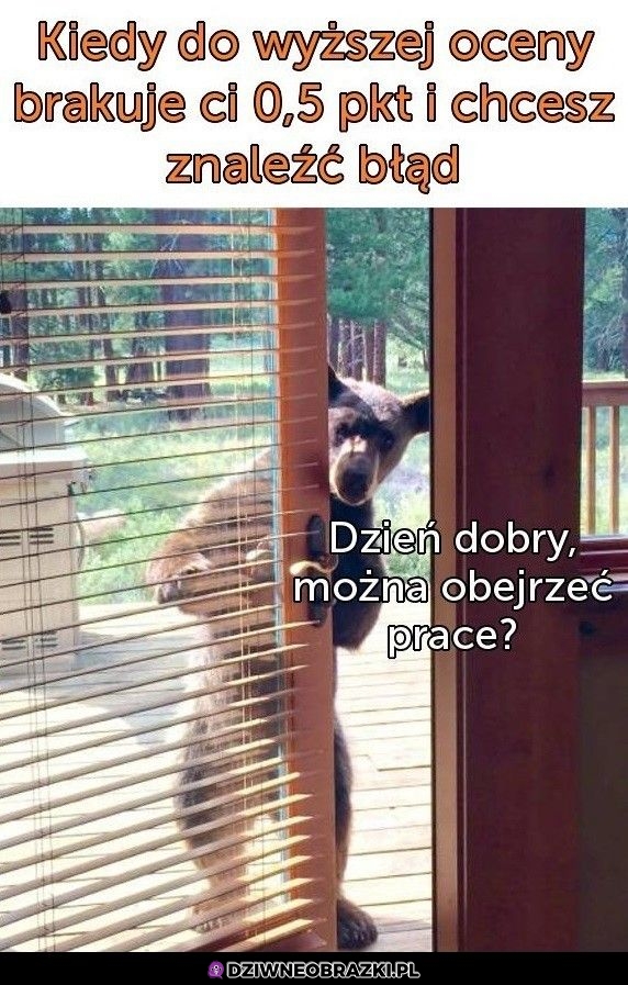 Dzień dobry