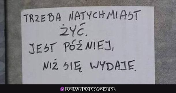 Po prostu żyj!