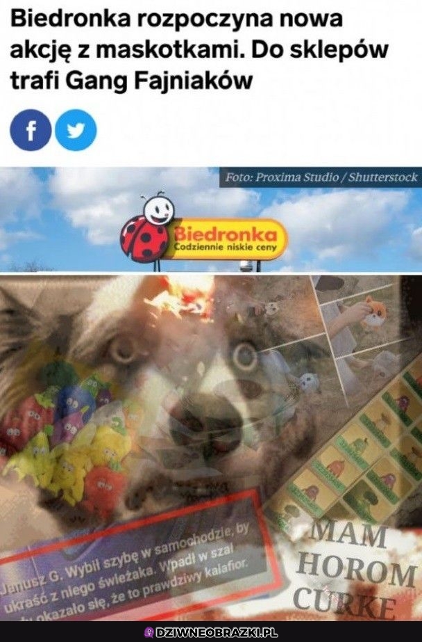 Znowu będzie wietnam