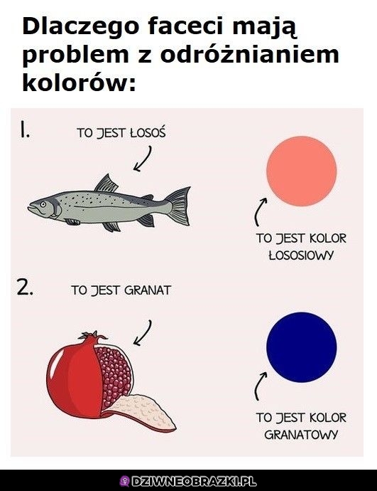 No ciekawe dlaczego