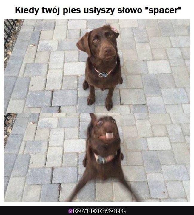 Magiczne słowo