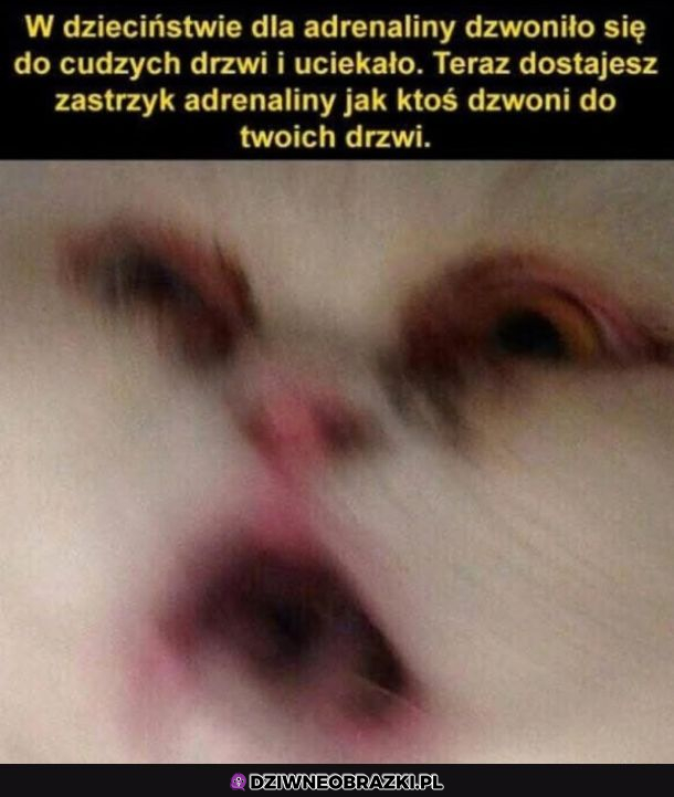 Te same emocje 