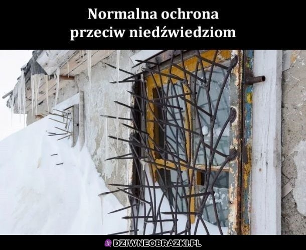 Normalka