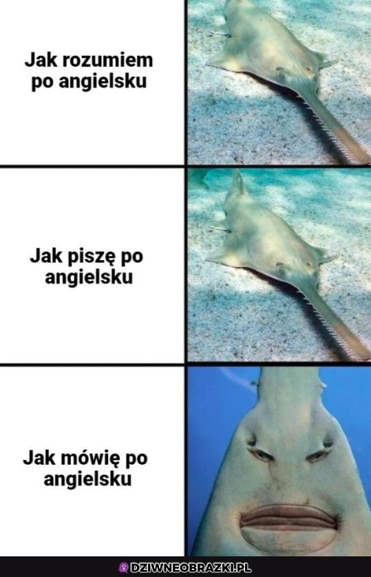 Angielski taki jest