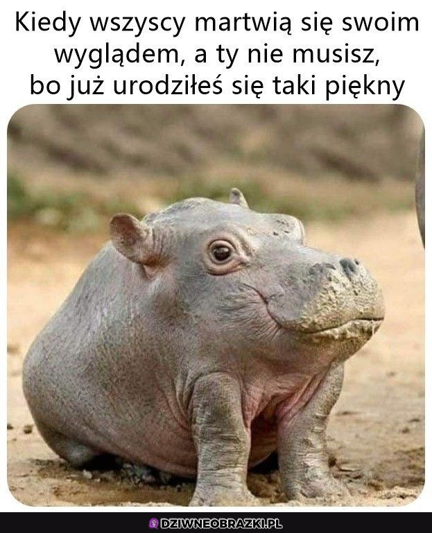 Pozytywne myślenie