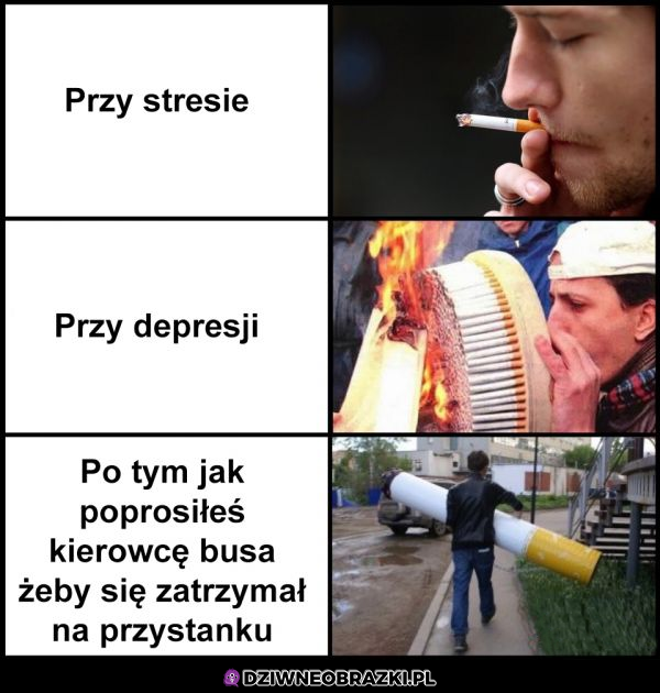 Poziomy stresu