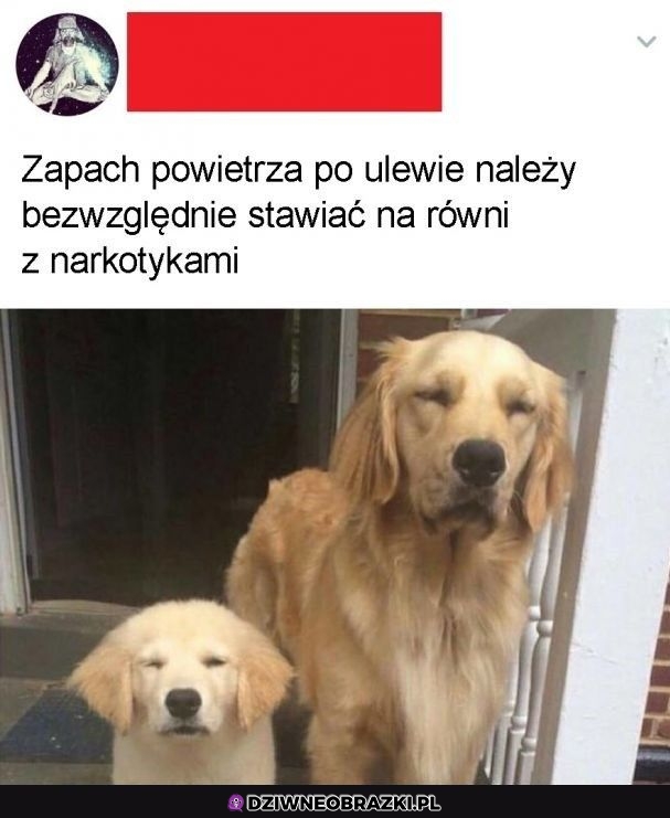 Najlepszy zapach na świecie