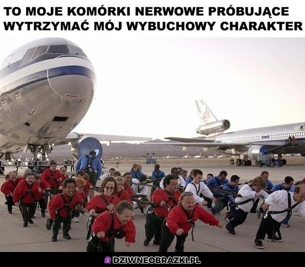 Naprawdę się starają