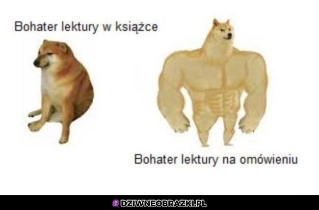 Lektury takie są