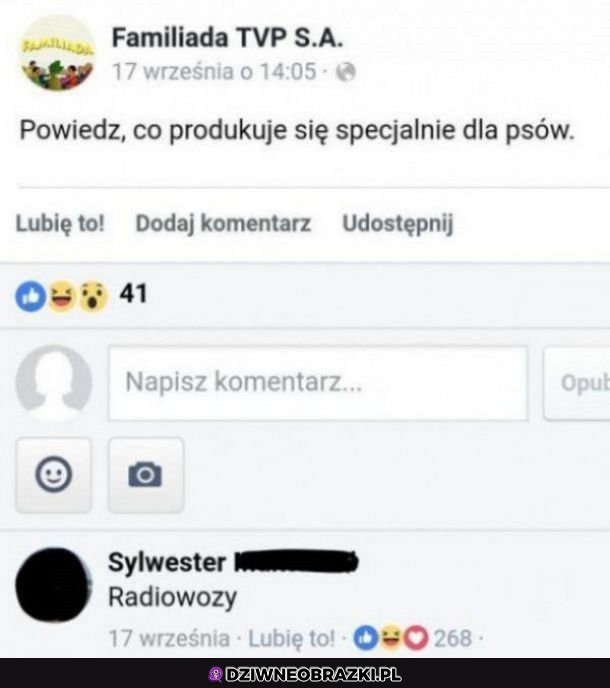 Specjalnie dla psów