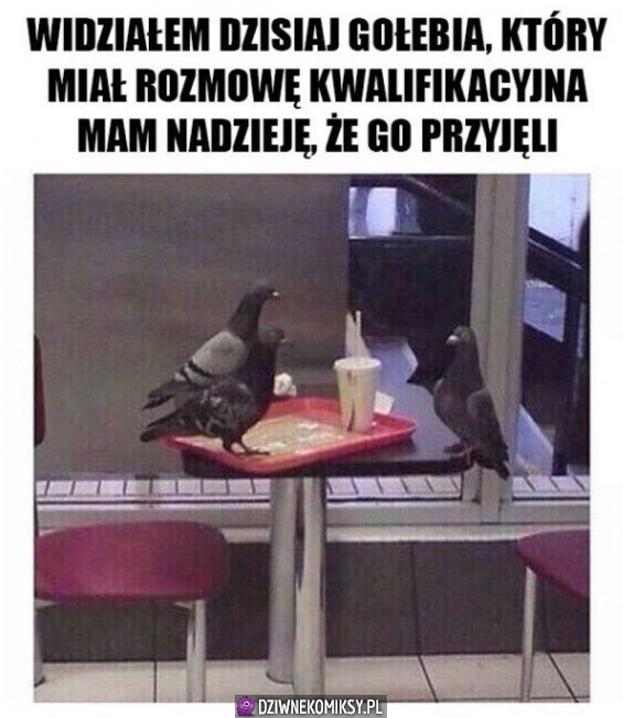 Trzymam kciuki ziomek