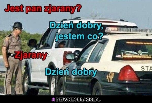 Dzień dobry