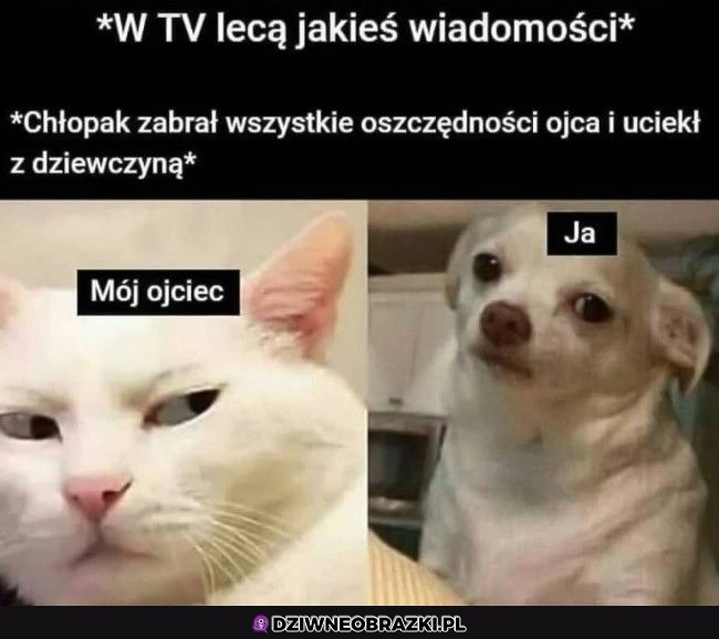 No ciekawe z kim