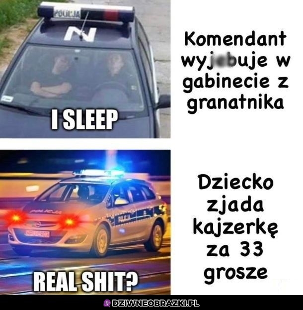 Polska Policja w akcji