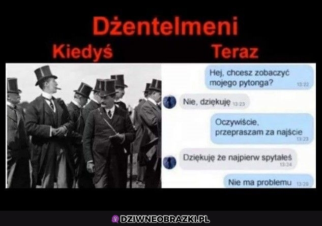 Dżentelmen