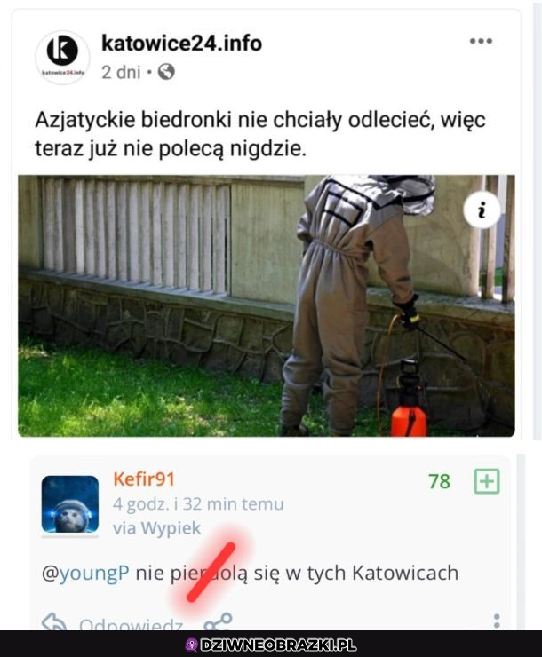 W Katowicach nie wybaczają