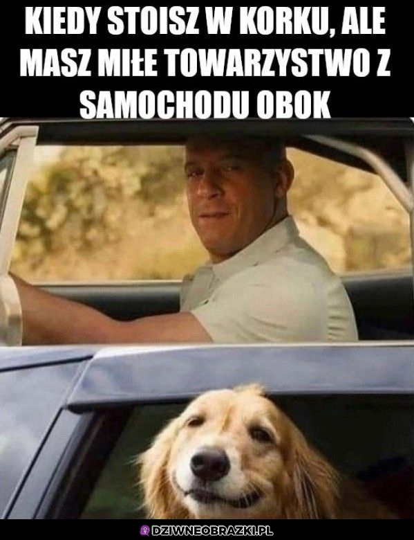 Ten moment