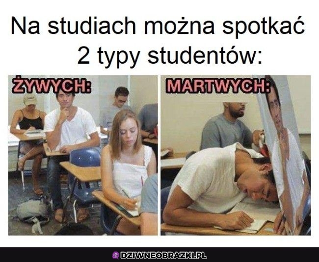 2 typy studentów