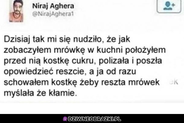 Sposób na nudę
