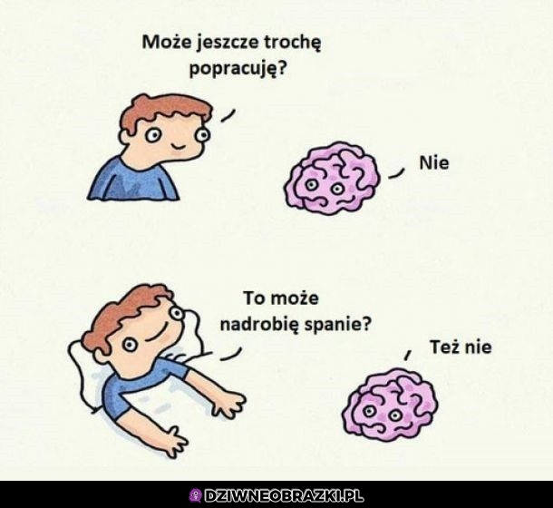 Dzięki mózgu