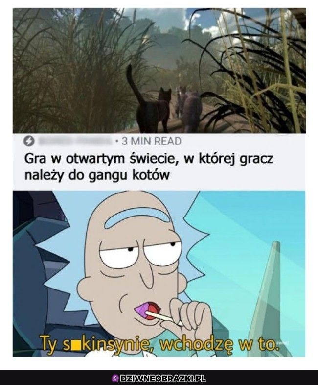 Grałbym