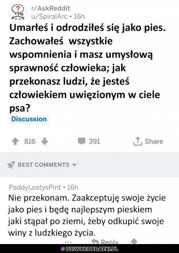 Jaka rozkmina