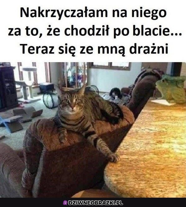 Prowokator