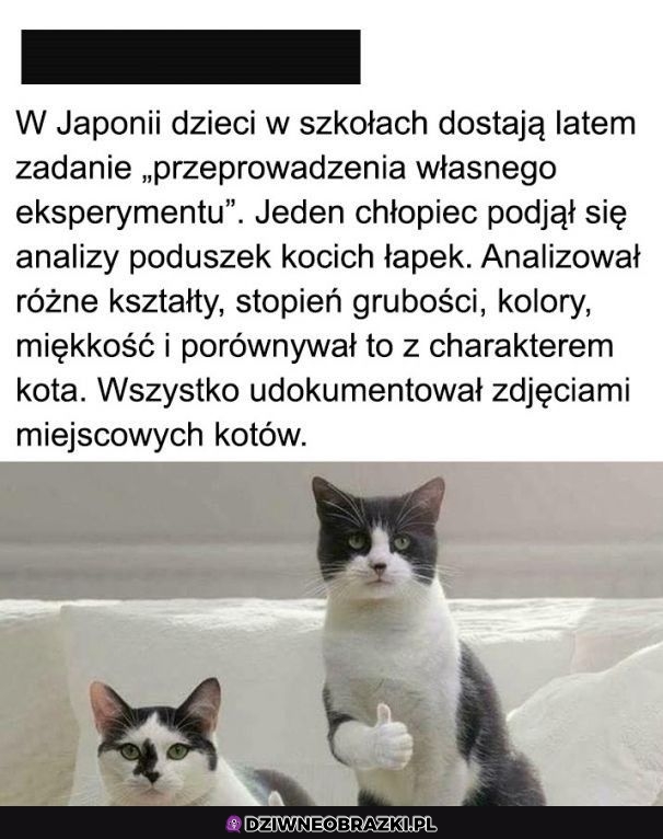 Ciekawy eksperyment
