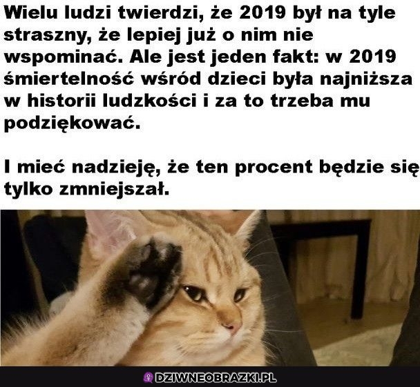 Tak było w 2019