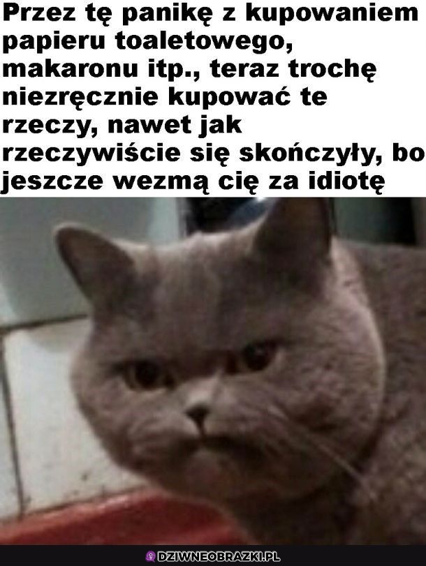 Ten moment