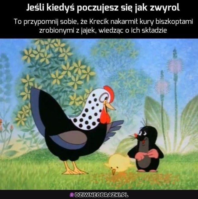 A to zwyrol jeden
