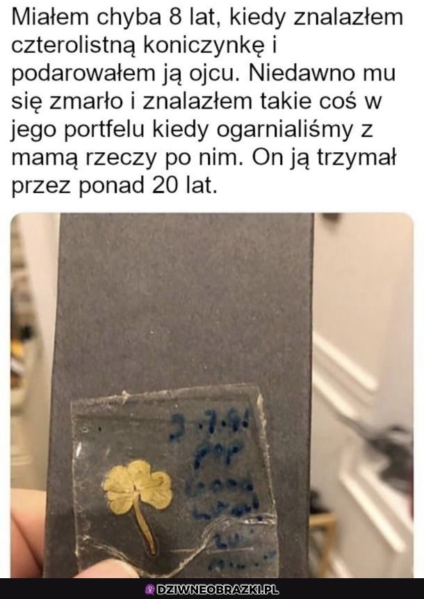 Kochany tatko