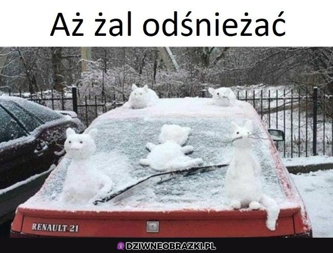 Ale ładne