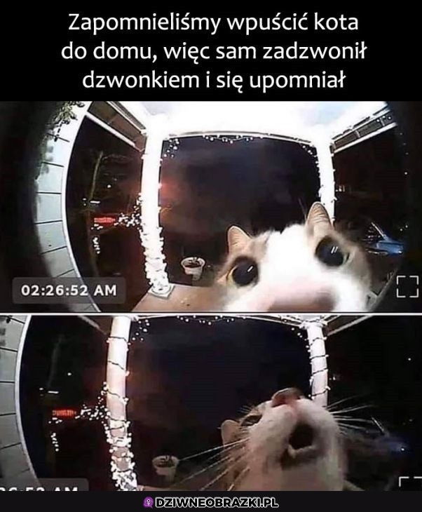 No wpuśćcie mnie!