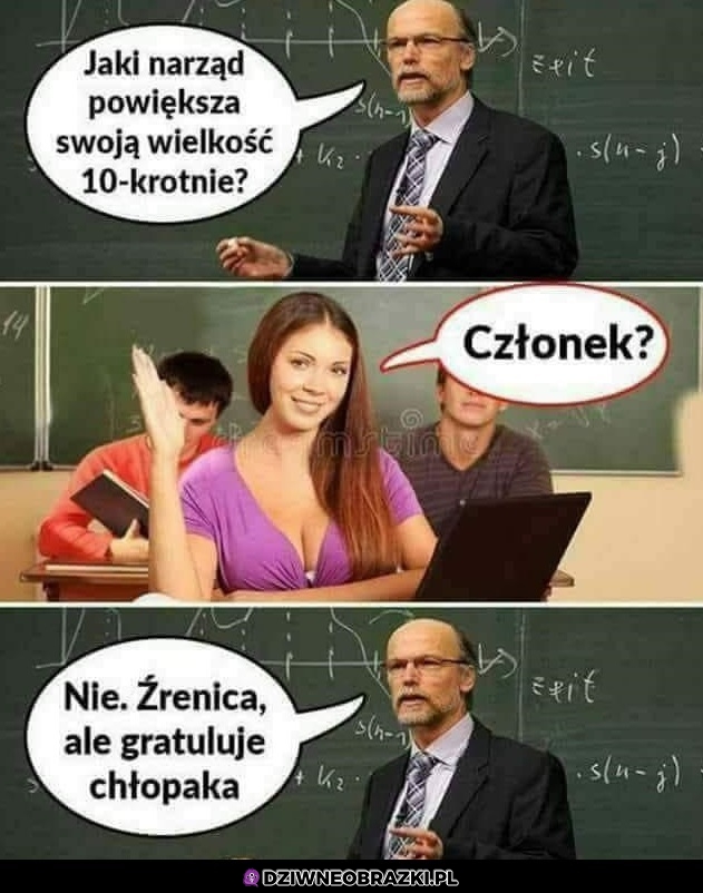 Narząd