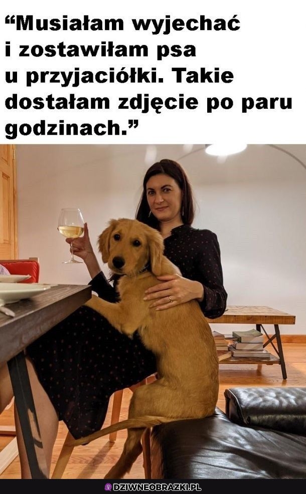 Idealnie dogadane