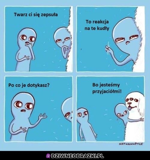 Zepsuta twarz, ale warto