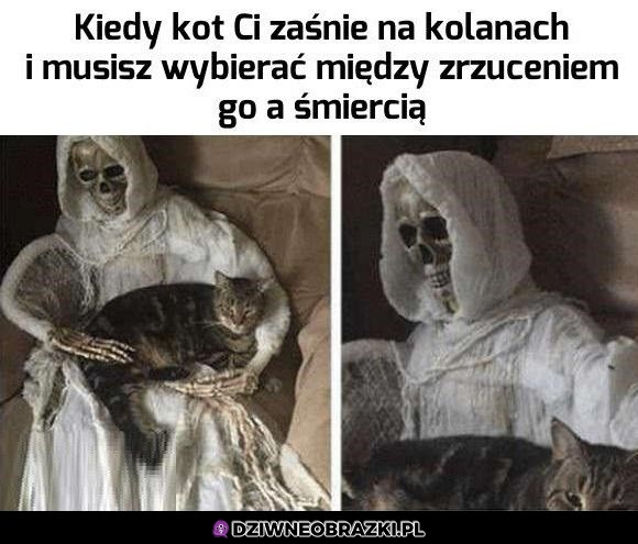 Wybór jest oczywisty