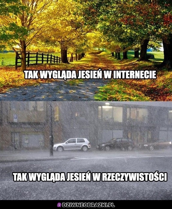 Coś za ładnie jest ostatnio