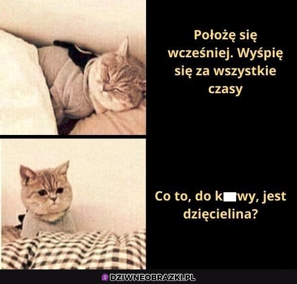 Dobre pytanie