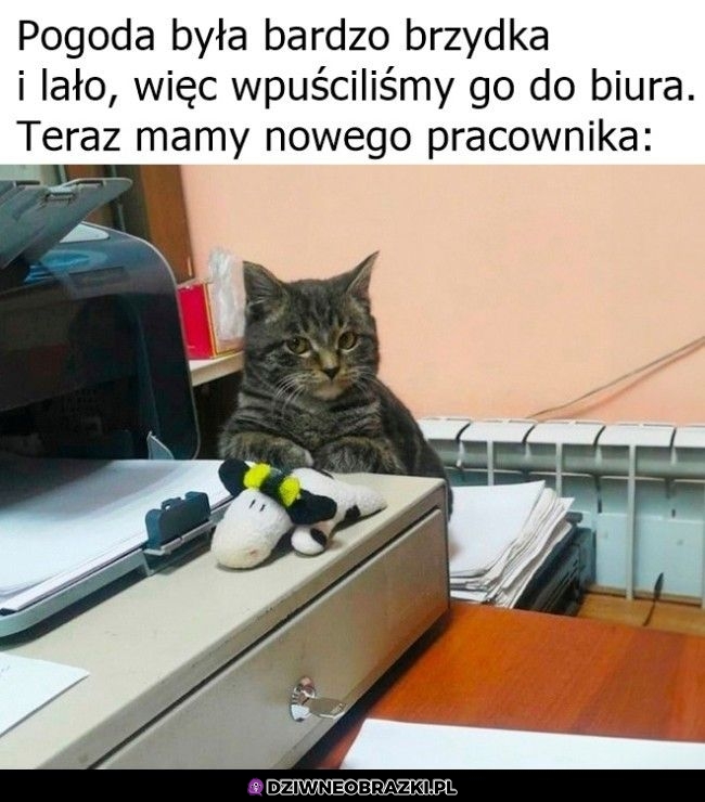 Nowy pracownik