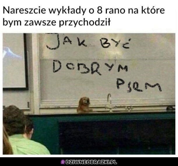 Ciekawy wykład