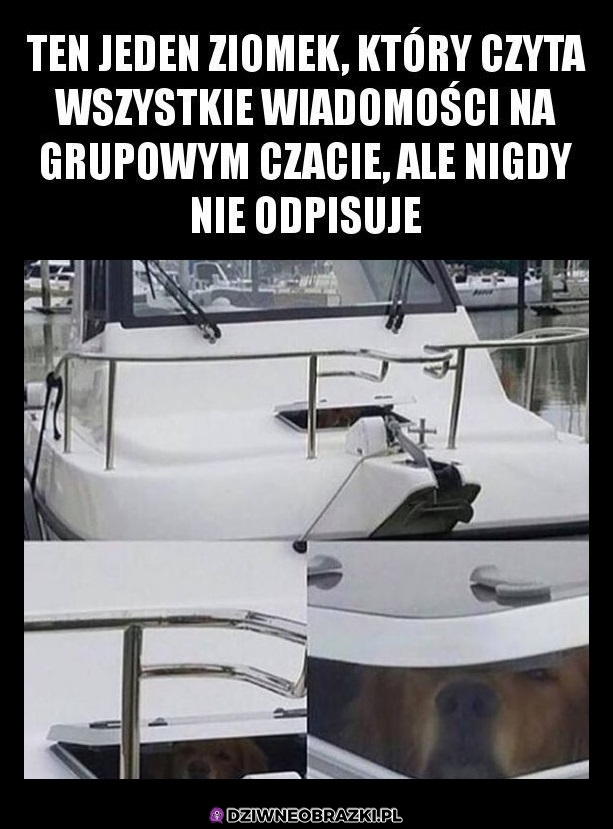 Przyczajony