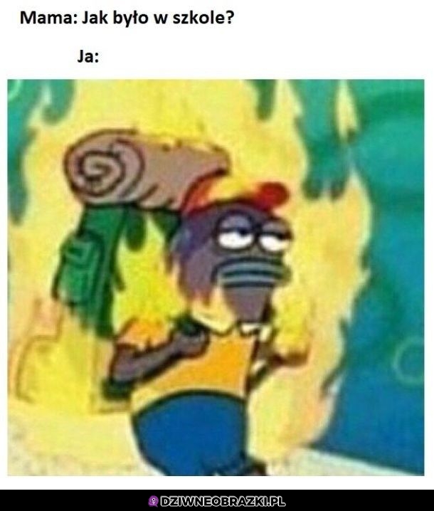 Jak zwykle