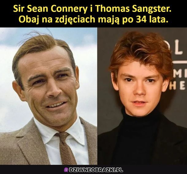 WTF